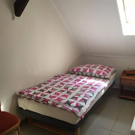 בית הארחה Solyom Apartman *